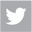 twitter icon